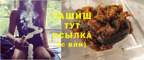 винт Ельня